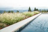 Outdoor, Back Yard, Hardscapes, Grass, and Large Pools, Tubs, Shower  Photo 17 of 20 in A pool with a view by Agnieszka Jakubowicz