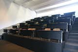 Pavisa - Work+