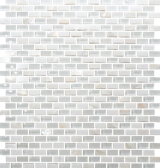 Mother Of Pearl and White Marble Tile

http://www.susanjablon.com/mbs10-004a.html