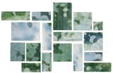 Let your love of nature be the focal point of your kitchen with our White Opal, Dark Green and Powder Blue Tiffany Inspired Hand Cut Glass tiles. (SKU# 6305150) http://ow.ly/w1QO30iaveX #tile #tiffany #inspiredbynature #glasstile #darkgreen #kitcheninspo #bathroominspo #homestyle #homeinterior #homedesign #kitchendesign #bathroomremodel #bathroomdesign #kitchenremodel #styletrends #modernkitchen #modernbath #colortrends #homeimprovement #naturalliving #natureinspo #natureinspired #tiffanyglass #ilovegreen #bluegreenkitchen #bluegreenbathroom #bathroompics #kitchenpics