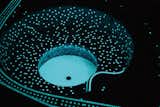 Our Glow in the Dark Tiles will be mesmerizing in your new pool or hot tub. http://ow.ly/jk6930iw921 #swimmingpool #hottub #tiles #homedesign #customtile #poolideas #poolpics #hottubpics #mosaictile #glasstile #custompool #customhottub #deckremodel #deckpics #homeremodel #exteriordesign #ingroundpool #summerfun