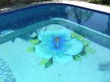 Love flowers? Let Susan Jablon help you create your dream pool featuring your favorite posey. This custom pool features Susan Jablon tiles in the shape of a beautiful Hibiscus flower. Call us to work directly with our designers or use our Custom Mosaic Designer Tool: https://www.susanjablon.com/designer.html #tile #mosaictile #customtile #custompool #glasstile #bluetile #greentile #pooltile #jacuzzitile #spatile #outdoortile #exteriordesign #susanjablon #exteriordecor #poolpic #swimmingpoolpic #swimmingpool #customtiledesign #customswimmingpool #homebeautiful #outdoorfun #summerfun #backyardinspo #backyardpics #staycation #familypool #familyfun #ingroundpool #glowinthedarktile #waterline #poolline #pooldesign #ingroundpooldesign #poolconstruction #newpool #swimmingpooldesign #customhome #uniquepool #homestyle #homedecor #poolideas #ingroundpoolpics #swimmingpoolideas