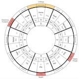 Classical Feng Shui is a set of guidelines customized around each individual’s astrological birth chart, making their home a comfortable, supportive and lucky place to reside in. Each year, there are 4 locations and 4 Key Stars to help us solve problems. They are called the Four Kings or 4 Nobles and they change locations as the Earth orbits around the Sun each year. 
