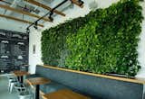Green Wall Accent - Biophilic Design  Photo 1 of 1 in Restaurant Renovation by Dekora Concepts