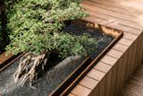 Sunken bonsai planter