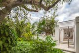 Lush tropical planting and concrete pavers create a hard and soft feel to the entry of the house.