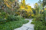 Lush tropical planting and concrete pavers create a hard and soft feel to the entry of the house.