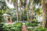 Lush tropical planting with plenty of privacy planting to remind the owner Fred of the gardens of his youth.