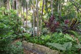 A winding path and lush tropical planting was added to the garden to help create the Estate Gardens of Fred's youth instead of the existing straight pathway to the pool area.