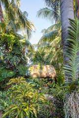 Different species of tropical plants were used to give added interest in color and texture throughout the garden.