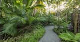 Outdoor, Garden, Walkways, Gardens, Hardscapes, Trees, Shrubs, Back Yard, and Landscape Lighting The clients requested a tropical garden they could walk through. The gravel pathway helps add to the sense of a tropical jungle.  Photo 14 of 18 in Key West Modern by Craig Reynolds Landscape Architecture