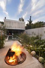 Outdoor, Gardens, Concrete, Walkways, Back Yard, Plunge, Shrubs, and Vegetables  Outdoor Concrete Plunge Back Yard Photos from A Gardener's Home in Argentina Boasts Flowing Green Spaces