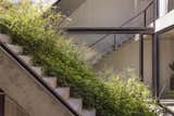 A Gardener's Home in Argentina Boasts Flowing Green Spaces - Photo 4 of 13 - 