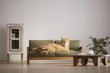5 Modern Cat Furniture Designs Both Pets and Owners Adore