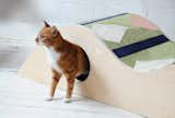 Pieces are composed of CNC-milled ash plywood and flat weave rug material.  Photo 11 of 14 in 5 Modern Cat Furniture Designs Both Pets and Owners Adore