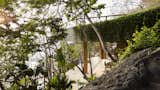The modern palapa nestles into the naturally rocky slope. Vegetation is encouraged to grow over the structure.