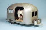 Pet Campers from Straight Line Designs