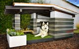 1118 Woof Ranch by Pijuan Design Workshop keeps your pup cool—inside or out. A wide eave protects a deck covered in artificial turf, while also providing passive ventilation for the interior.