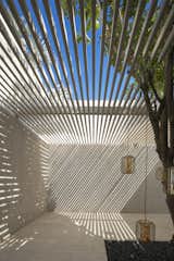 A roof of horizontal slats filters the harsh light and creates moody shadows.