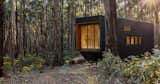 Go Off-Grid in This Tiny Australian Cabin Made for Digital Detox