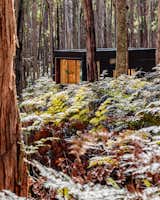 "Turn off your phone and dial into mother nature," suggests CABN, of their first off-grid, tiny home retreat in Victoria.