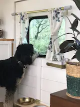 The couple got Mr. Gorbachev—aka Gorby—a couple months into the renovation. "He spent much of his puppyhood rolling around in sawdust and insulation crumbs," says Timothy. Here, he takes in the view from the Dutch door window, which was previously a side door used for wheelchair access.