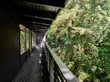 The deck wraps the house and overlooks the lush forest of the nearby park.