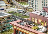 The Pike &amp; Rose is a redevelopment of a 30-acre strip mall within the Pike District in North Bethesda, Maryland. The rooftop farm, planted by Up Top Acres, supplies produce to the nearby restaurants and residents.
