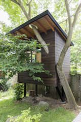 Technically, this small building is not a tree house, since it’s braced at the ground by supports, but Grey didn’t want to compromise the tree, which “doesn’t have a very long lifespan,” the designer says. “So, I didn’t want to jeopardize however long that tree had with any excess baggage.”