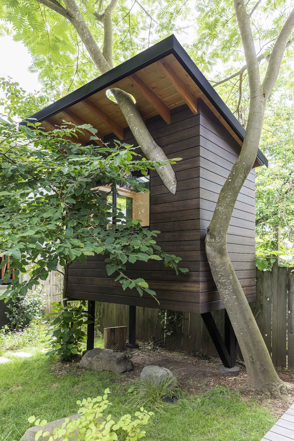 Photo 11 of 14 in A Portland Designer Revamps Her Backyard With a