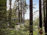 Mount Veeder Cabin by Risa Boyer Architecture