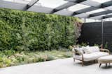 The tall rear hedge adds much-needed greenery to the backyard and acts as a privacy screen from the neighbor.
