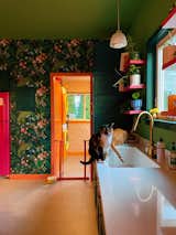 The “Kitty Room” was given an orange motif, with wallpaper from Chasing Paper, trim painted Sherwin Williams "Navel,
