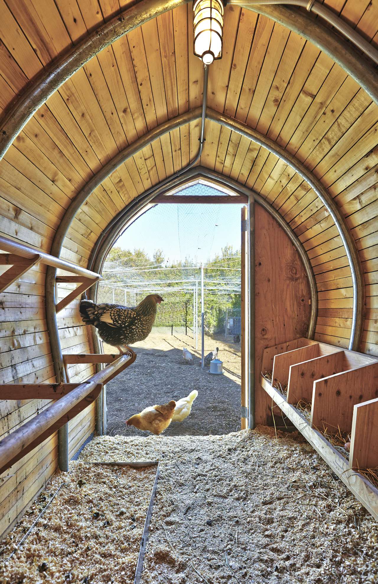 Photo 22 of 29 in 10 Modern Chicken Coops That Rule the Roost Dwell