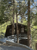 Funds Breakdown: For 3K, a Creative Couple Remodel a Cozy California Cabin—With out Drywall