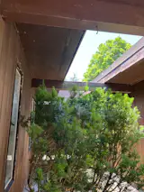 Before: The courtyards were overgrown.