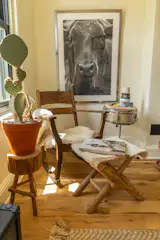 A favorite napping spot for many of the cats has a chair and stool from Brimfield Antique Flea Market and a photo by Eric Ashleigh.