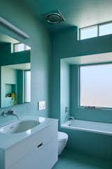 "Intense color immersion,