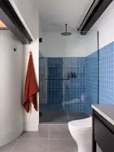 The floor has Rosemont Tile (since discontinued) by Ann Sacks and an Artos showerhead.