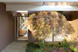 Margaret and William Jensen bought their 1956 Eichler in the Highlands neighborhood in 1988, and lived in it for 35 years before starting a remodel in 2023. The landscaping was completed by Third Nature Studio and Modernscapes.