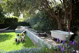 The couple's dogs sit in the preserved backyard.