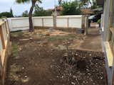 The front yard in July 2016.  Photo 3 of 22 in Maui Bungalow Transformation by Cindy Greenwell