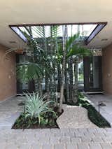 Preexisting clumping cabada palms were retained, underplanted with shade-loving mondo grass and native wart fern, and a winding path of crushed shell was added for maintenance access.