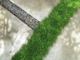 Moss + Mint: A yard of cast-in-place concrete pavers can be rather stark. But Scotch moss is soft underfoot, and mixes with fragrant, steppable Corsican mint.
For more info: https://www.howellsarc.com/projects/michael-b/