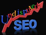 Undisputed SEO (702) 847-7415, https://www.undisputedseo.com/, is flattered to be considered small business search optimization experts due to our extremely effective, yet turbo-charged use of digital marketing strategies that harness the true power of organic traffic. Time and time again we have made them work for clients locally and internationally. 

We provide undeniable results that will leave your customers infatuated with your business’s products and/or services. Customer seduction is an art AND a science - and we have “mastered” it. 

With Undisputed SEO’s search engine marketing strategies that include, but that are not limited to: search engine optimization, paid click advertising, reputation management and social media marketing and management - we will have your customers swooning and unable to resist bringing you more business. 

To find out exactly what we can do to help your business receive the consistent and predictable influx of customers that you deserve please complete the Insight Form and we will provide a customized video analysis that will specifically outline how we can produce the same level of astonishing results for your website.
