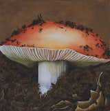 This Mushroom was painted in an impasto technique, building up the surface with layers and layers of what appears to look and feel like dirt! 

Mixed media on 16" x 16" Birch Panel $650
