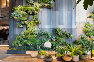 Image showcasing Photo 2 of 7 in Check Out This Brooklyn Hotel's Dramatic Living Wall ...