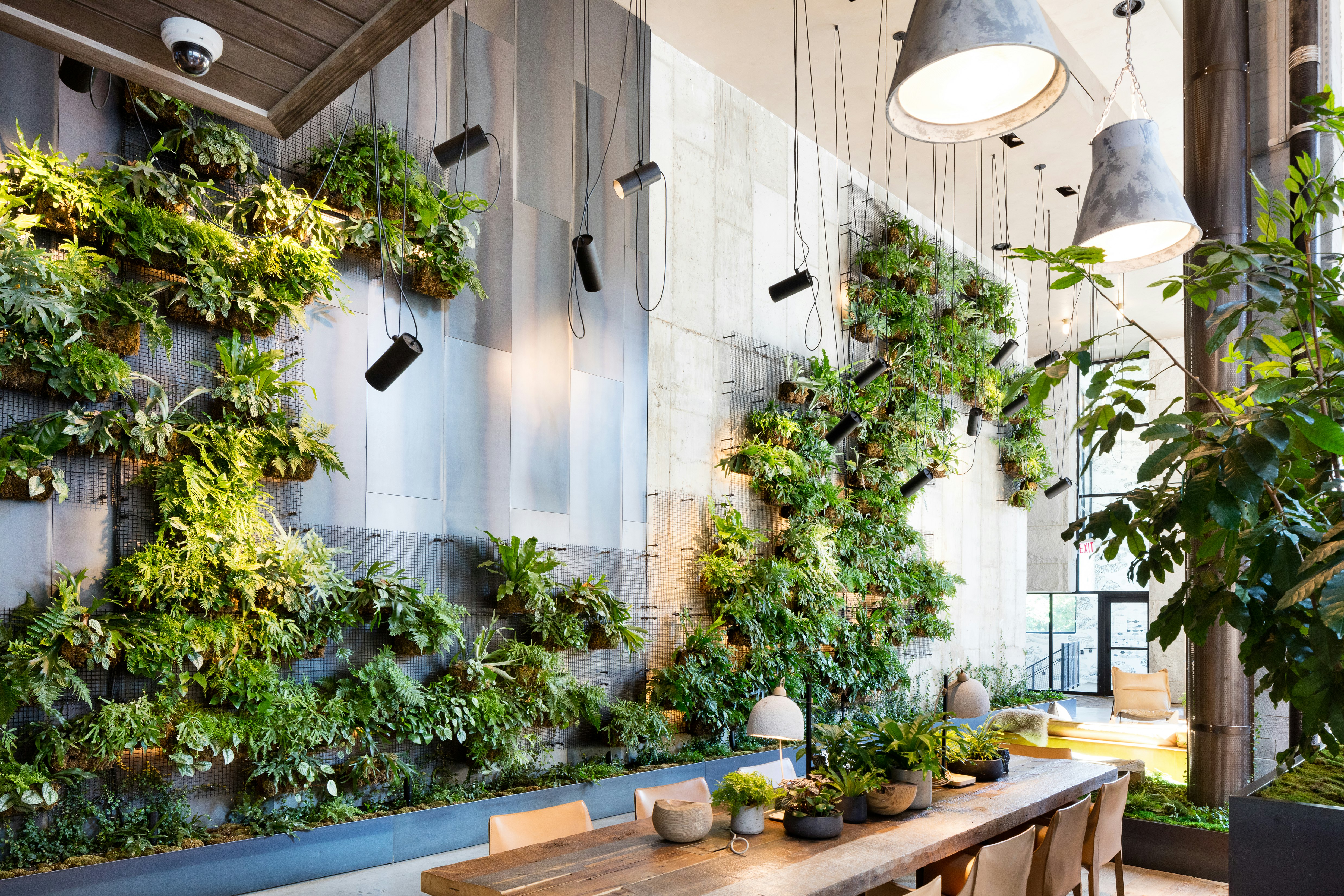 The Amazing Benefits Of Moss Walls For Any Space - Eco Brooklyn