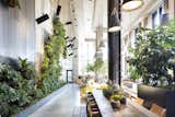 Check Out This Brooklyn Hotel's Dramatic Living Wall Installation - Photo 3 of 6 - 