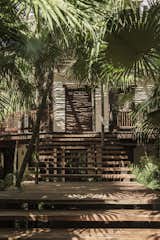 Outdoor, Trees, Walkways, and Wood Fences, Wall  Photo 2 of 15 in A Serene Tulum Tree House Perched Between the Jungle and the Sea